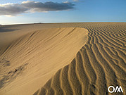 Duna de arena en Fuerteventura
